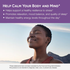 Supplement facts and ingredients for EZ Melts Ashwagandha Apple Berry