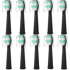 Ten-pack replacement heads compatible with Fairywill toothbrush handles FW-507/508/551/D1/D3