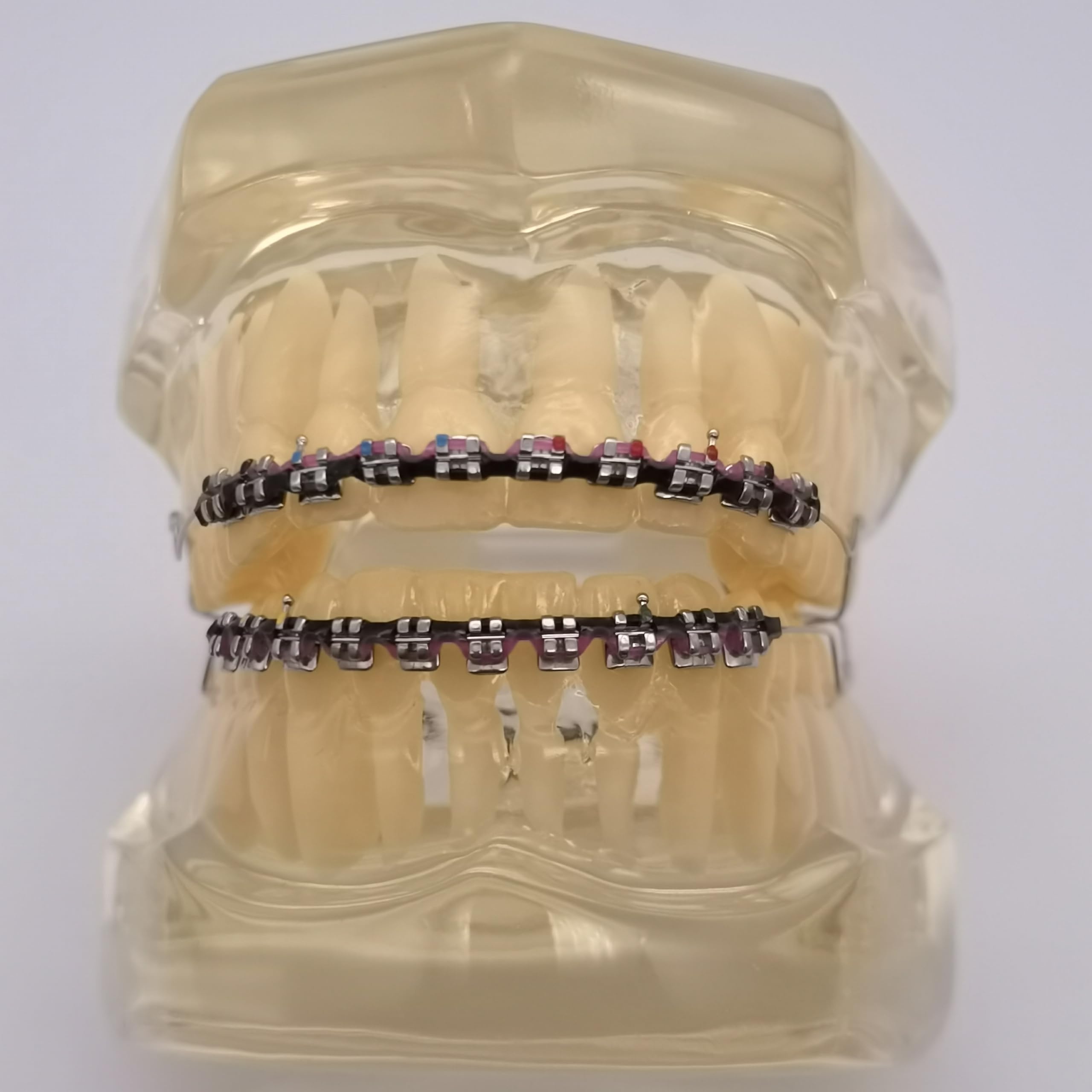 Educational orthodontic kit for teaching dental students and practitioners