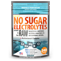 FAST LYTE No Sugar Electrolytes Powder packaging labeled The Raw