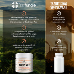 Brain health and cognitive focus with tiger milk mushroom