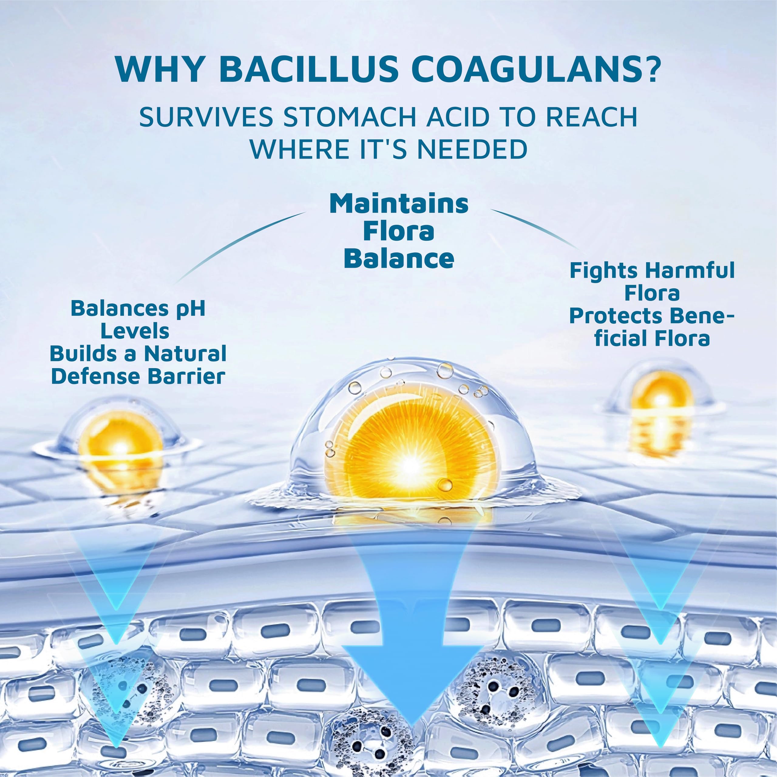 Packaging for Organic Natural Sourcing feminine balance gummies