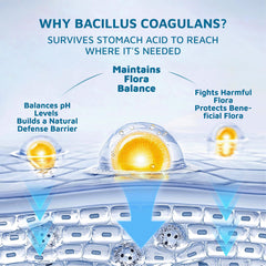 Packaging for Organic Natural Sourcing feminine balance gummies