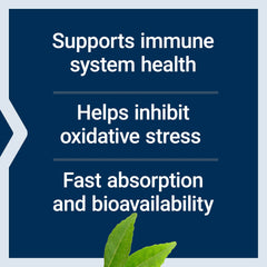 Fenugreek seed fibers boost Bio-Quercetin bioavailability