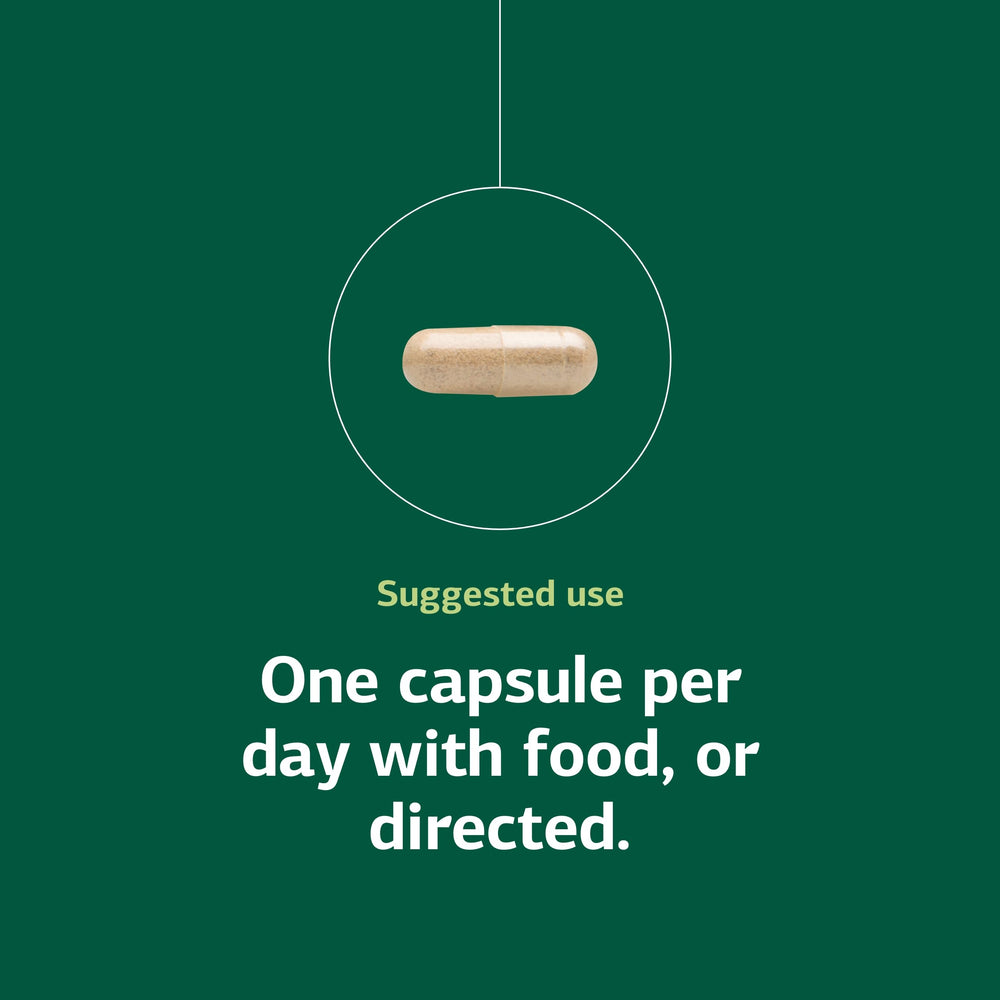 Standard Process brand heritage and history