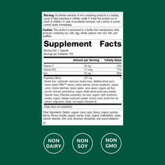 Illustration of iron, B12 and vitamin C supporting absorption