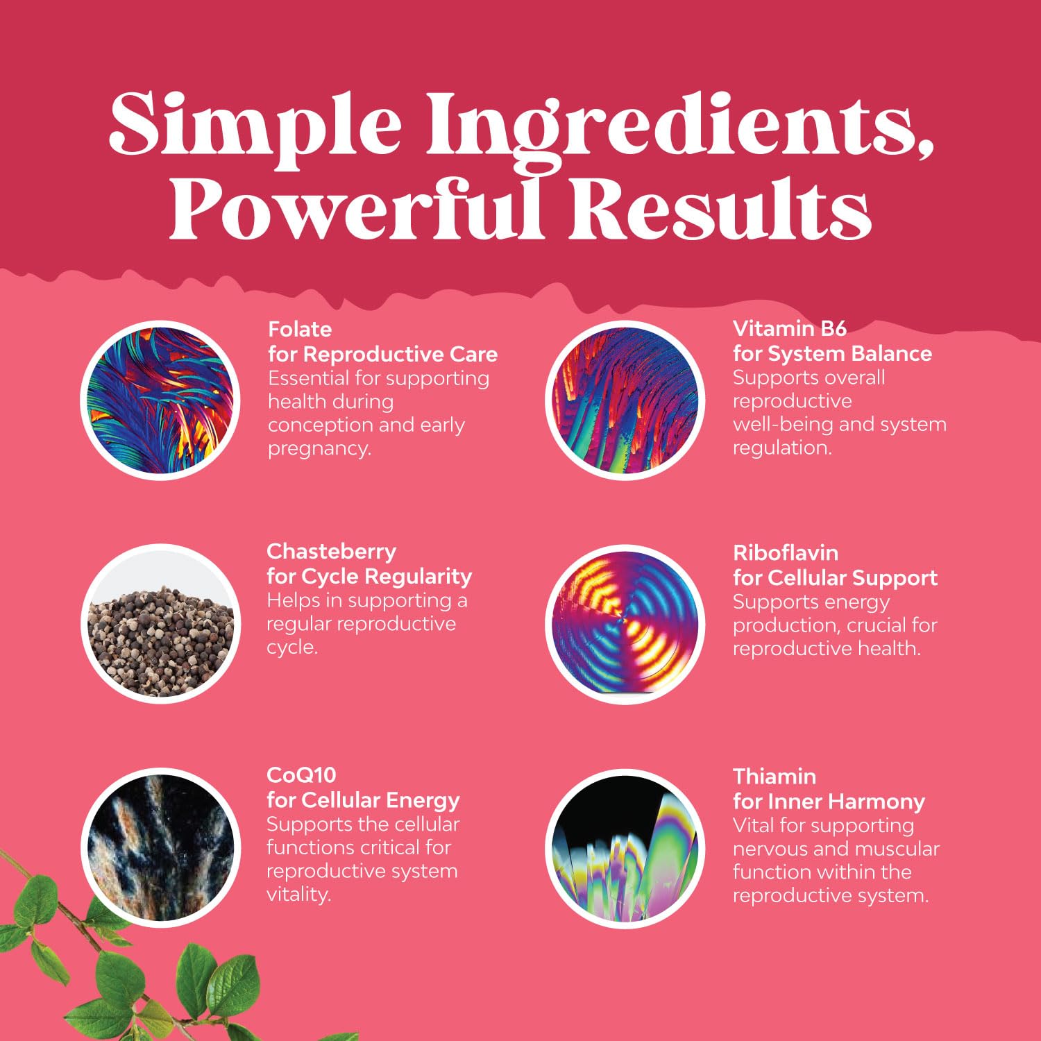 Illustration of choline, inositol, folate, chasteberry, and CoQ10 ingredients