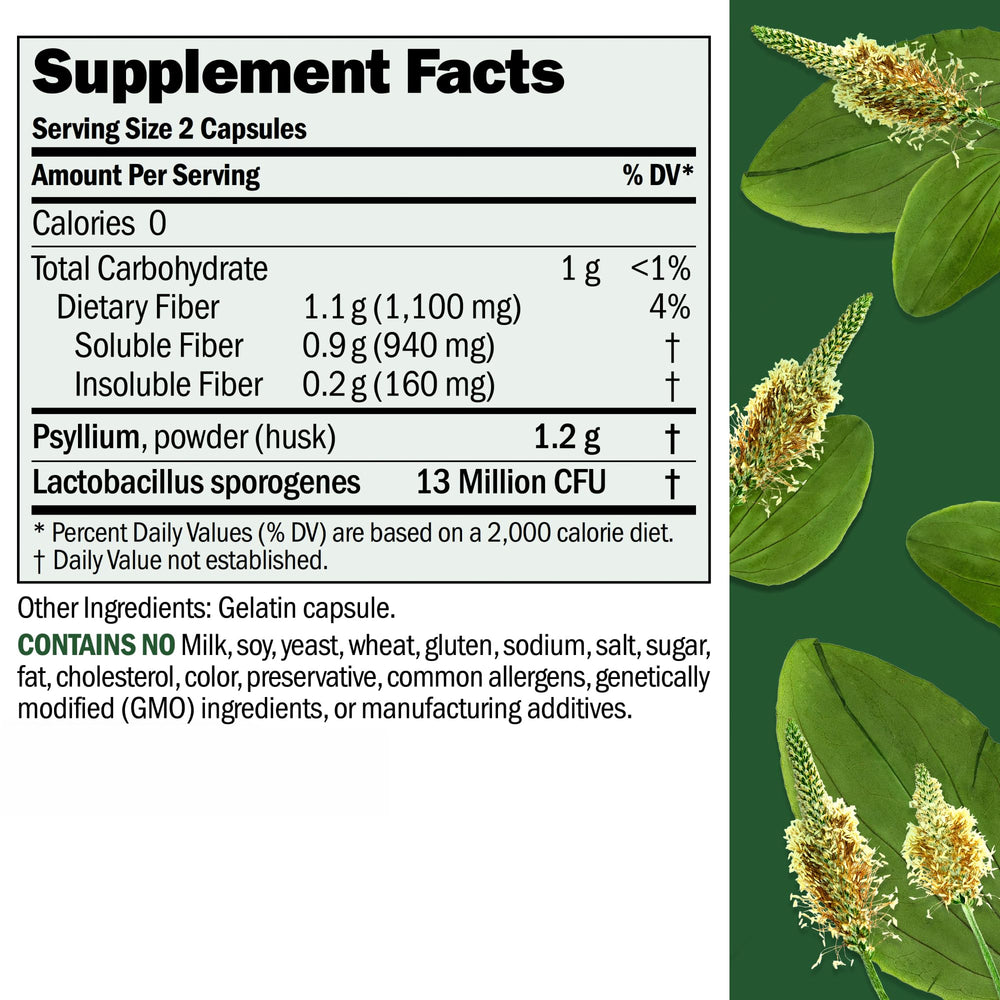 Psyllium husk powder from Plantago ovata