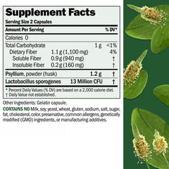 Psyllium husk powder from Plantago ovata
