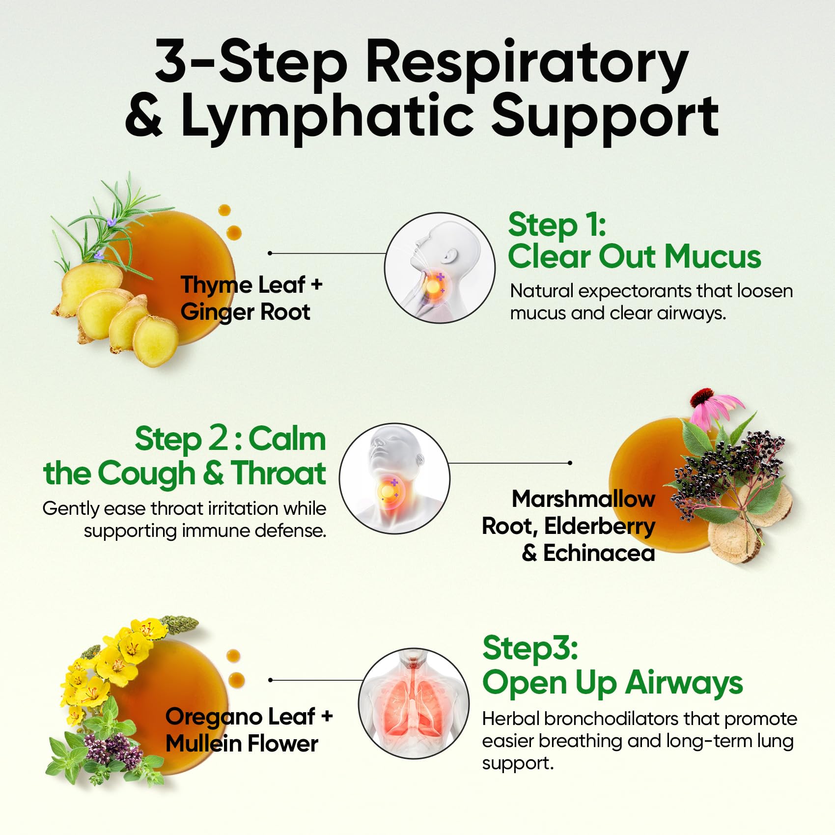 7 herb blend ingredients: thyme, marshmallow, elderberry, echinacea, ginger, oregano