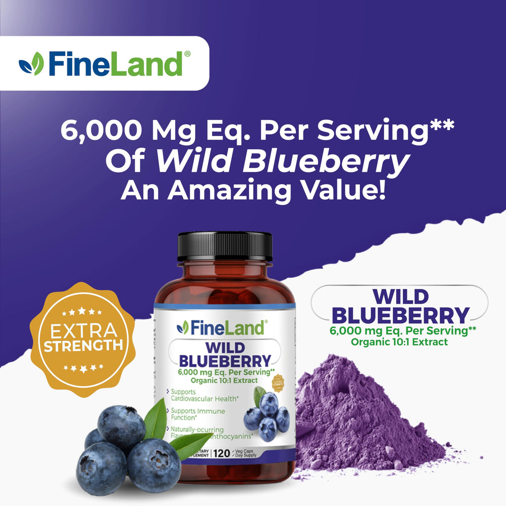 Infographic of blueberry flavonoids and anthocyanins