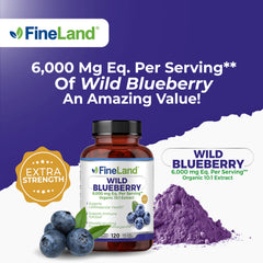 Infographic of blueberry flavonoids and anthocyanins