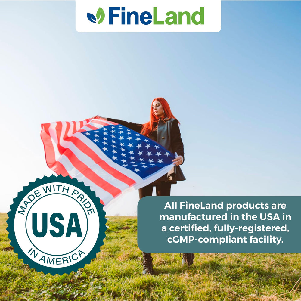 Illustration of blood flow and circulation health benefits