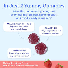 Graphic showing chelated magnesium, L-Theanine and Zembrin ingredients