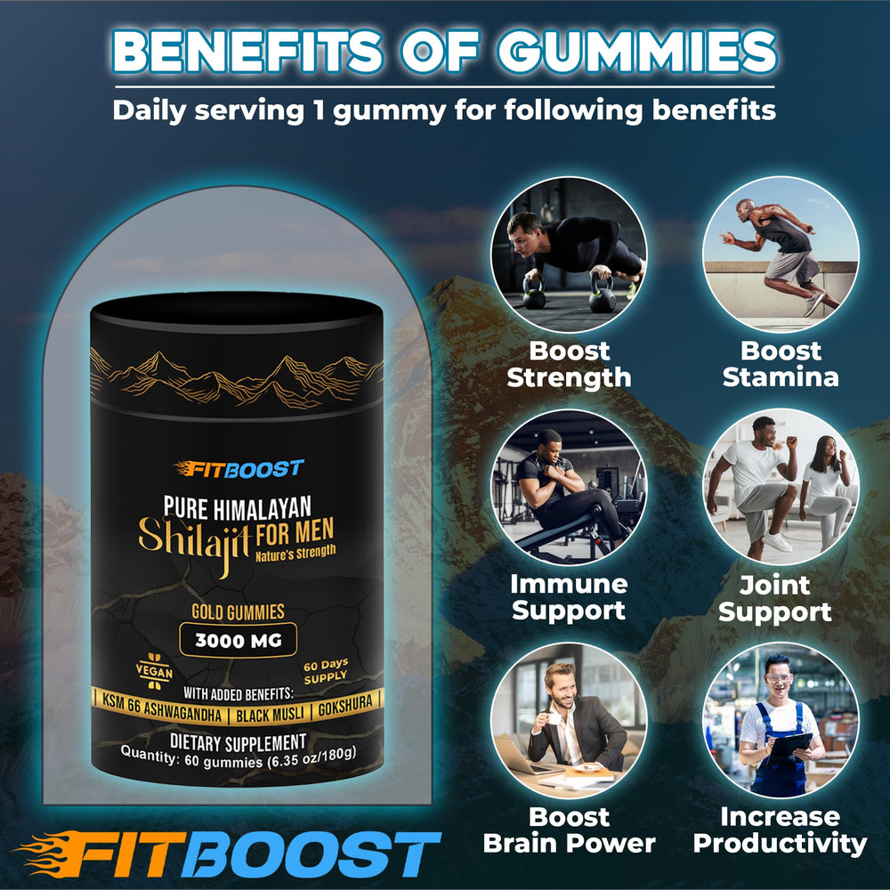 Shilajit Gummies ingredients including Ashwagandha and Saffron