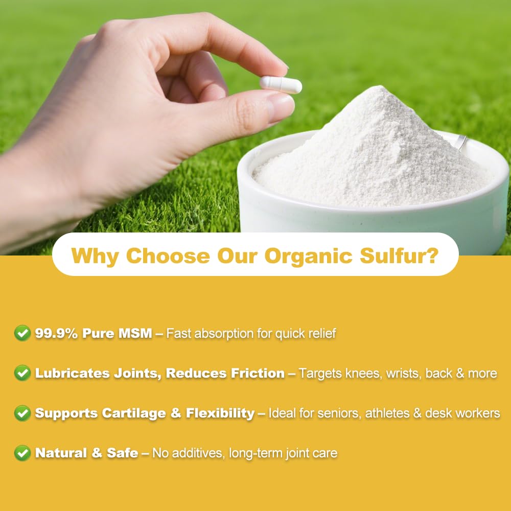 Close-up of an MSM capsule