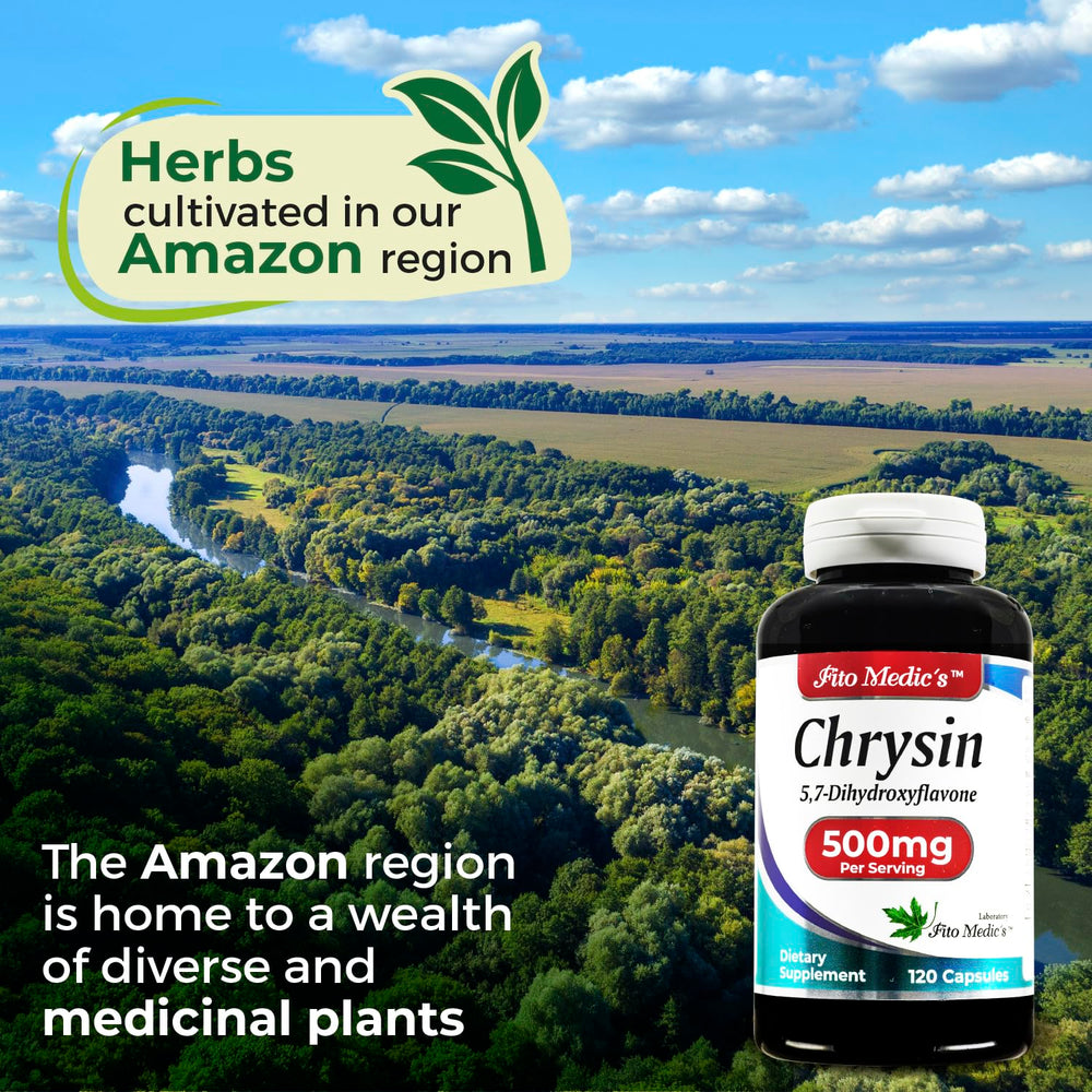 Back label with dosage and ingredients on Fito Medic's Chrysin bottle