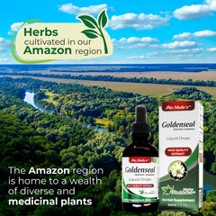 Ultra-concentration 10:1 extract graphic showing 3000 mg