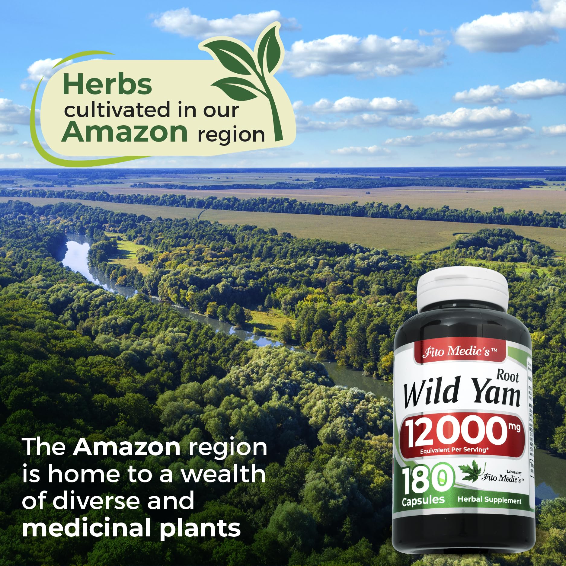 Serving size of Wild Yam Root capsules