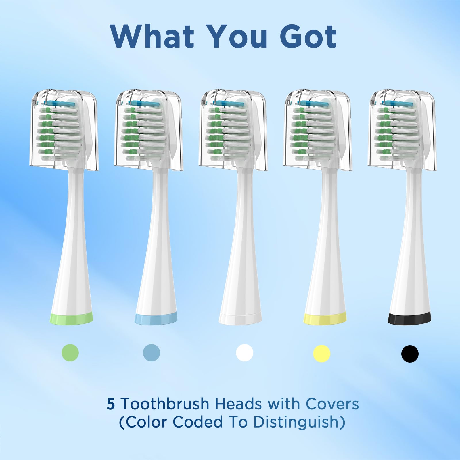 Front view of the five-pack with brushes and covers