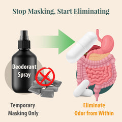 Close-up of chlorophyll capsules inside the bottle