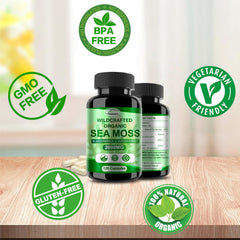 Capsules showing sea moss, bladderwrack and burdock root ingredients