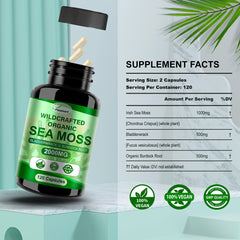 Packaging of Fleamart Irish Sea Moss Capsules – 2 pack