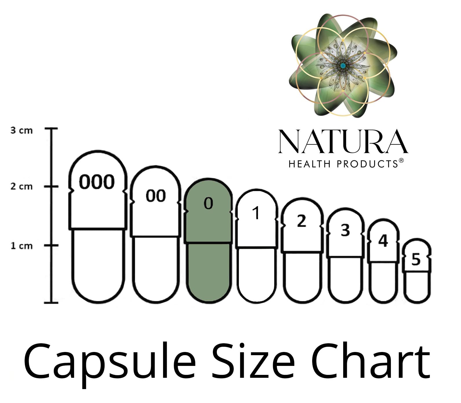 Pills and natural herbs arranged for immune support imagery