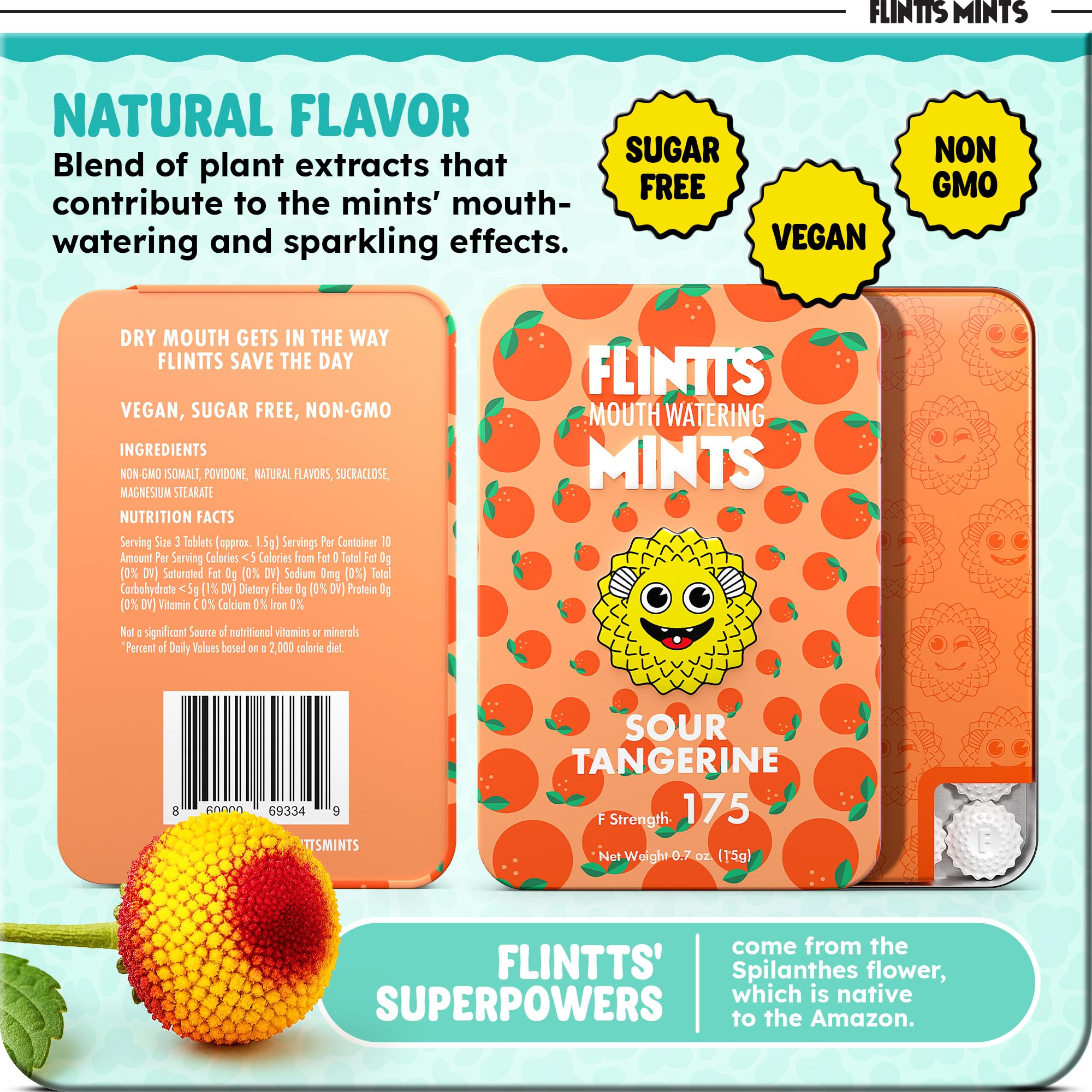 Ingredients label showing sugar free vegan non-GMO
