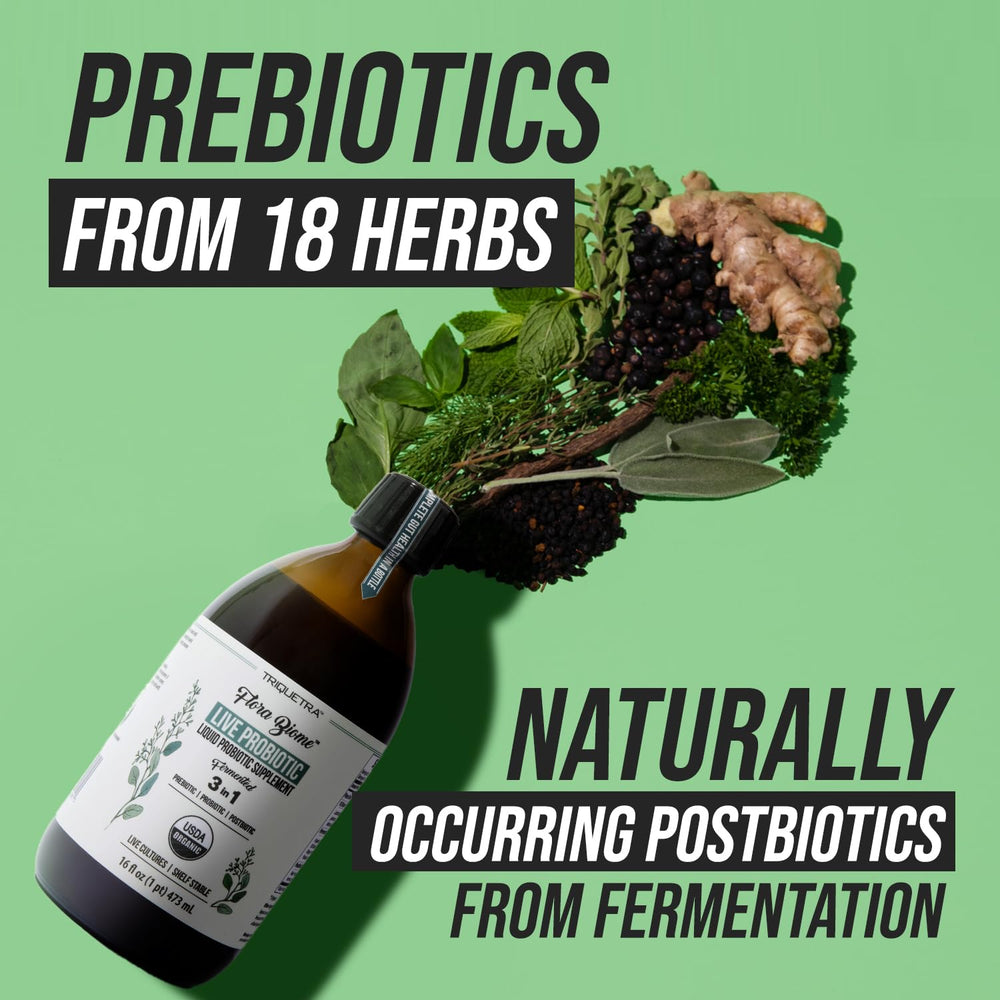 Concept of a healthy gut microbiome with Flora Biome