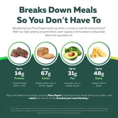 Graphic concept of digestion showing enzymes, probiotics, and postbiotics