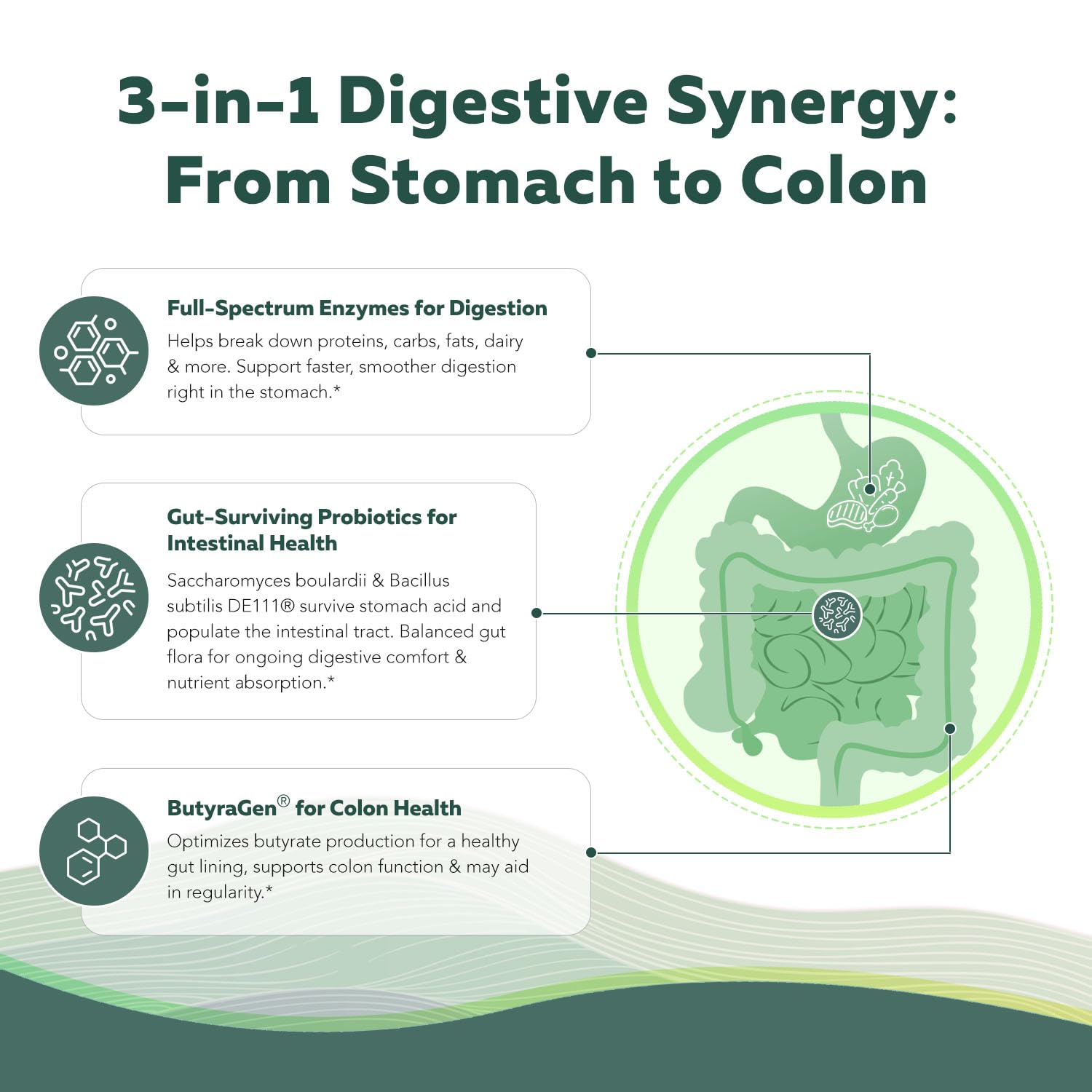 ButyraGen postbiotic concept illustration