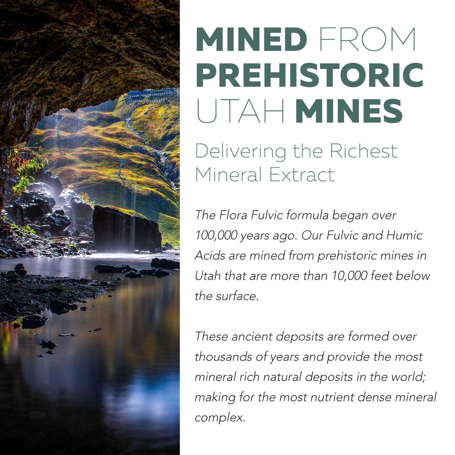 Serving capsule of Flora Fulvic 550 mg