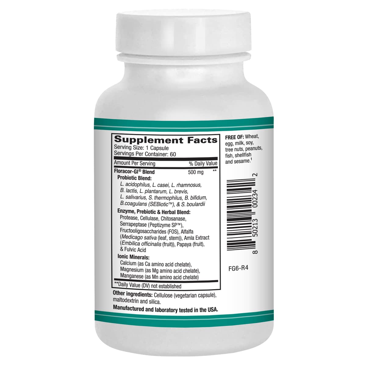 Chitosanase and cellulase enzymes visualization
