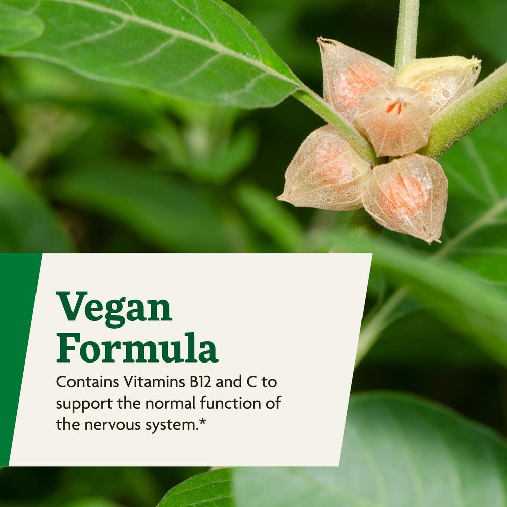 Nutrition facts panel of Floradix Ashwagandha Liquid