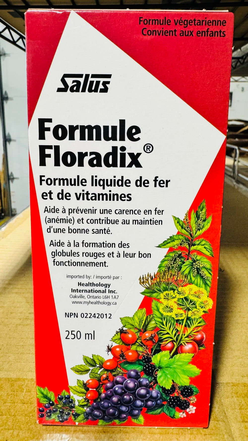 Floradix ingredients wheat germ and rose hips highlight vitamin-rich blend