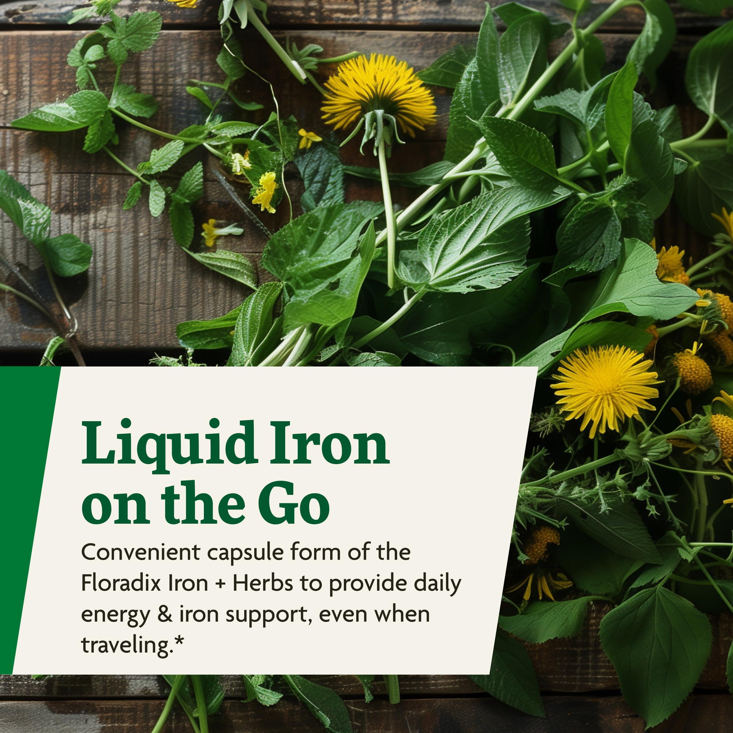 Ferrochel iron close-up used in Floradix Iron + Herbs