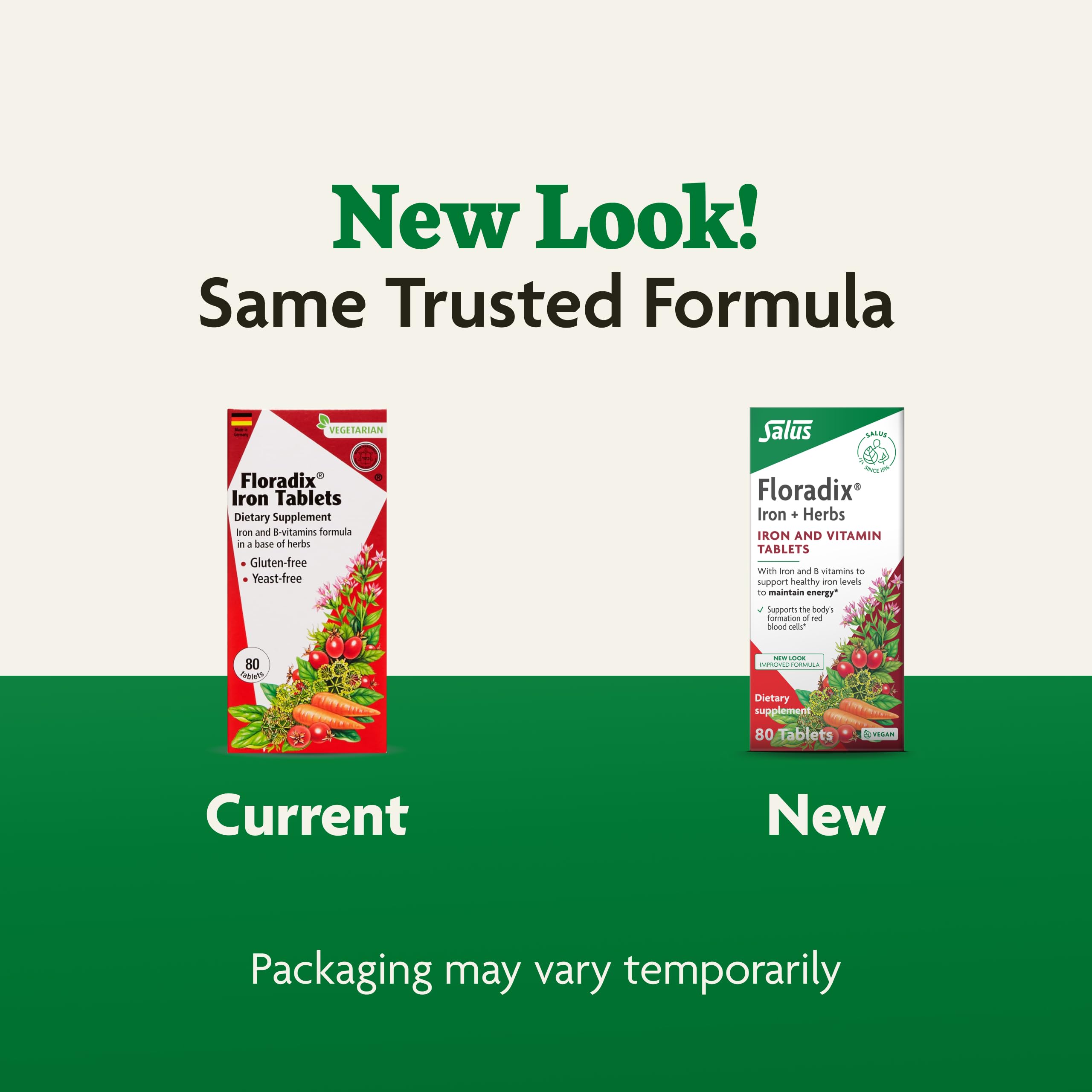 Dietary iron supplement for vegetarians