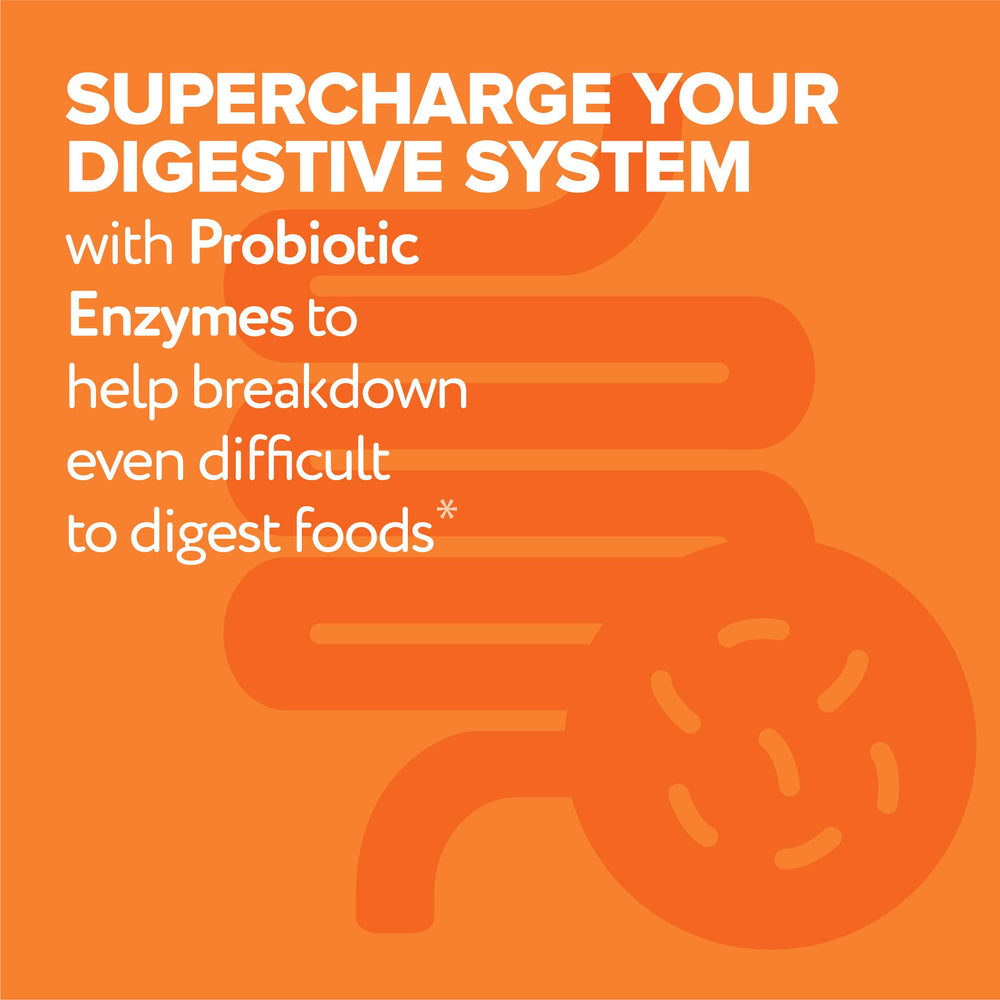 Graphic showing 16 essential digestive enzymes