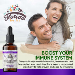 Florida Herbs Black Elderberry Tincture bottle front view - 2 fl oz