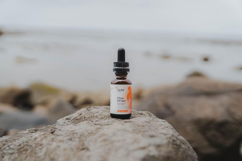 Flow Drops immune support with Turkey Tail and Chaga