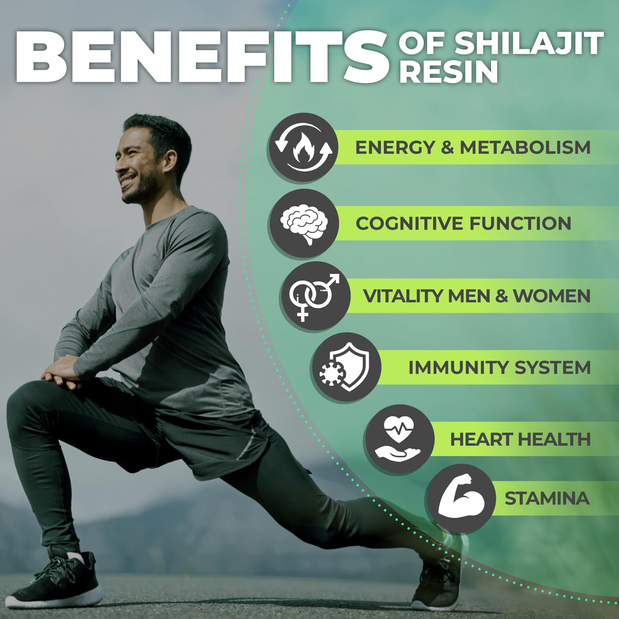 Graphic highlighting 85+ minerals in FlyFeel Shilajit Resin