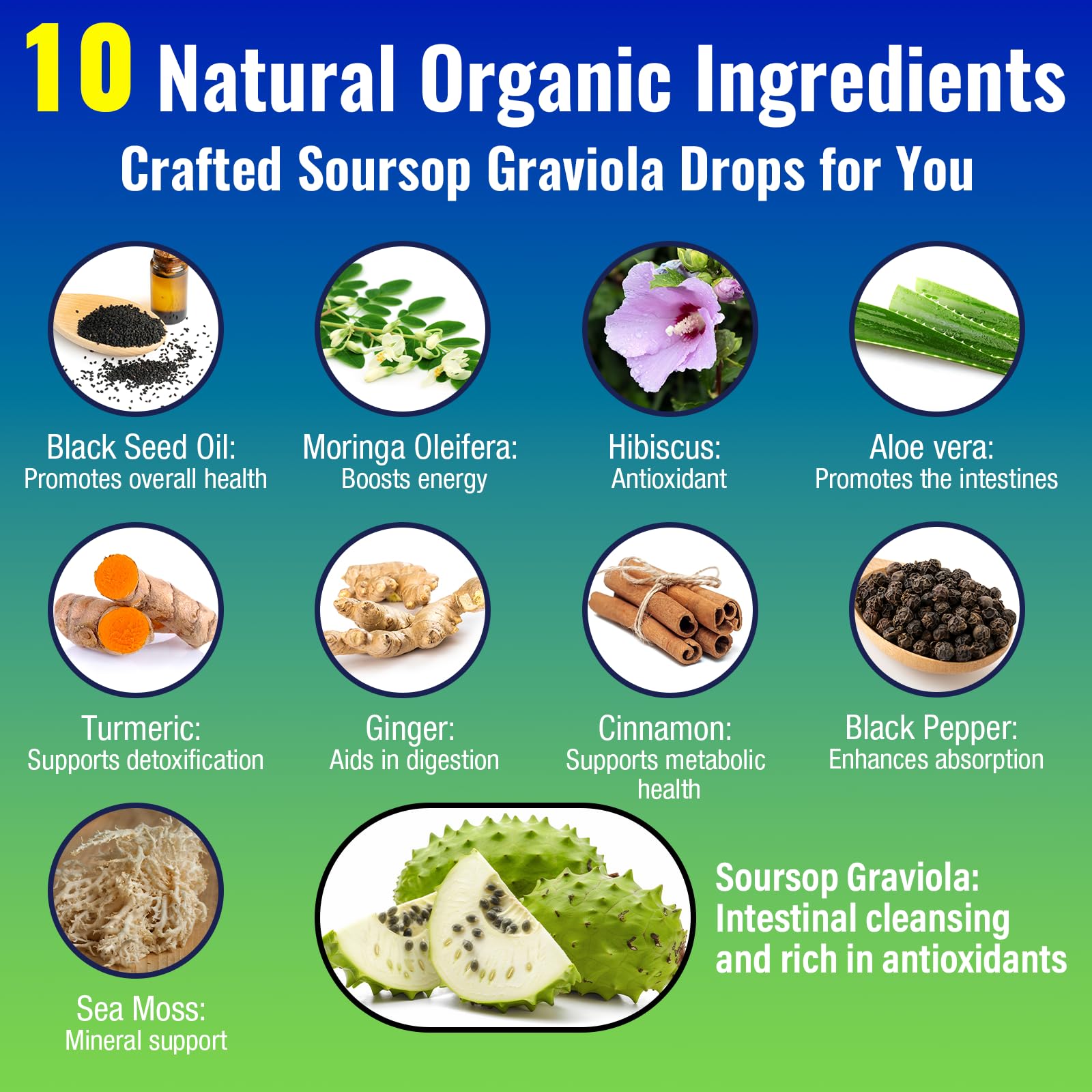 Collage of ingredients including soursop leaves, moringa and sea moss