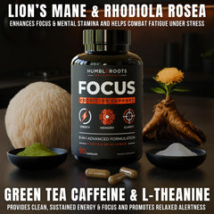 Close-up of Lion's Mane mushroom and natural nootropics