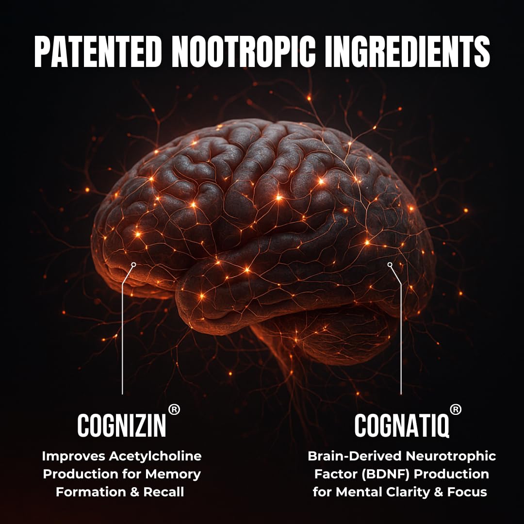 Rhodiola Rosea root with other cognitive support ingredients
