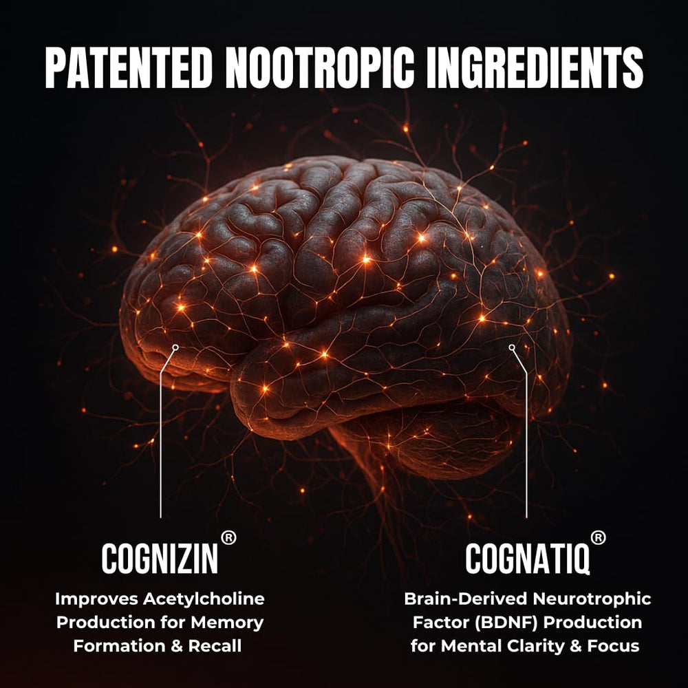 Rhodiola Rosea root with other cognitive support ingredients