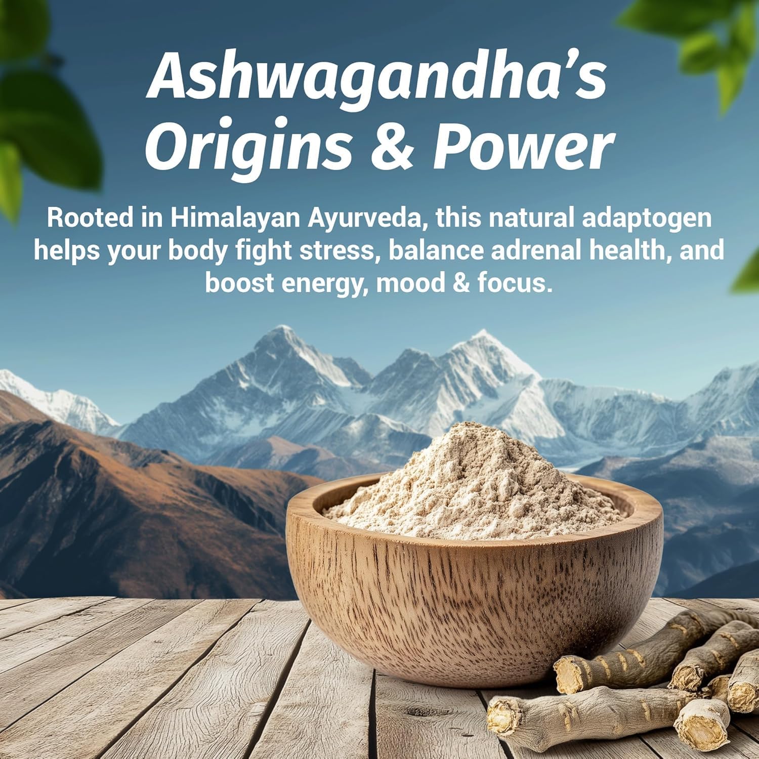 Focus and energy support with Ashwagandha Shoden