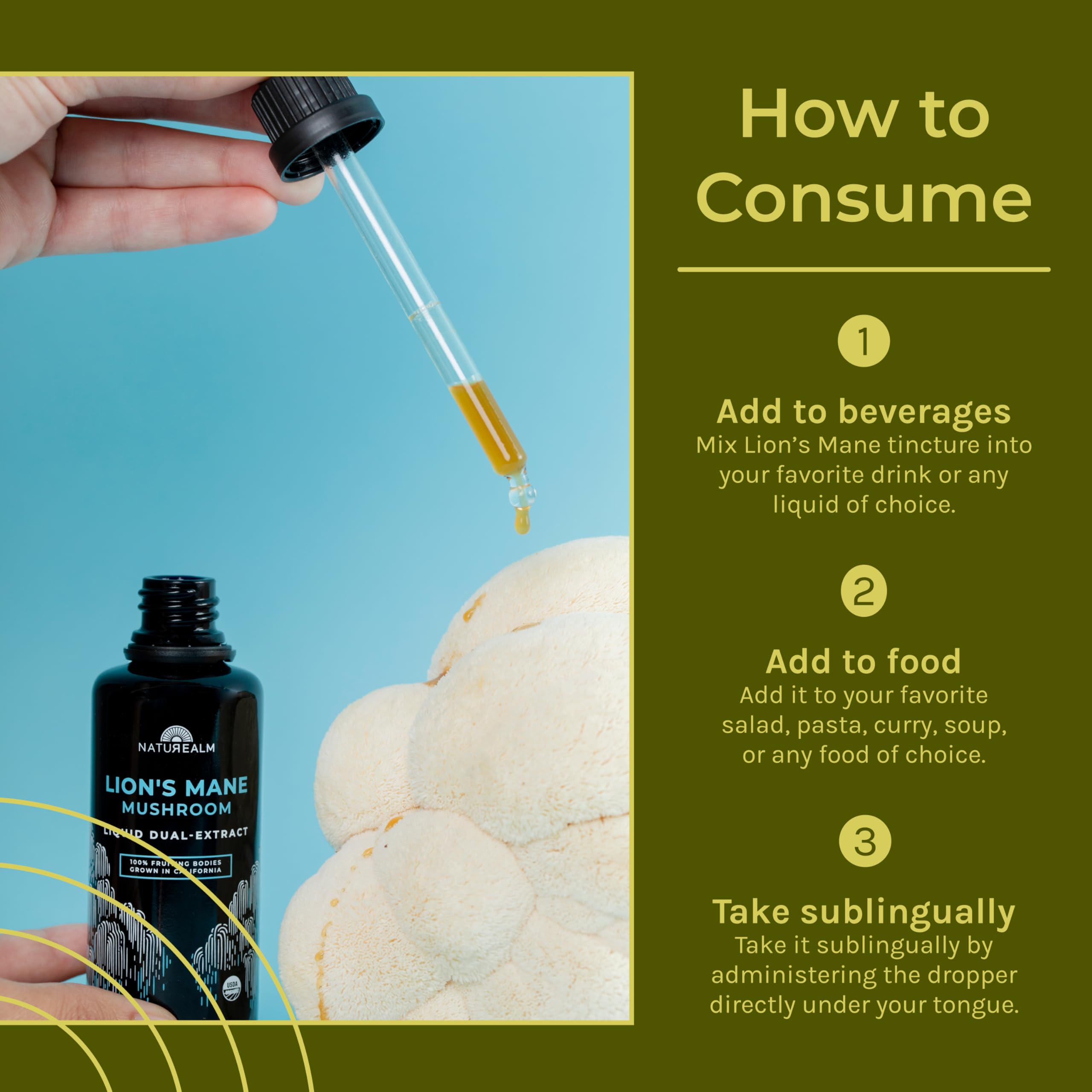 Concept image: focus, memory, and brain health with Lions Mane
