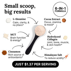 Close-up of mocha flavored supplement powder in scoop