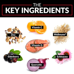 Illustration highlighting vitamins and minerals included in Force Factor Immunity